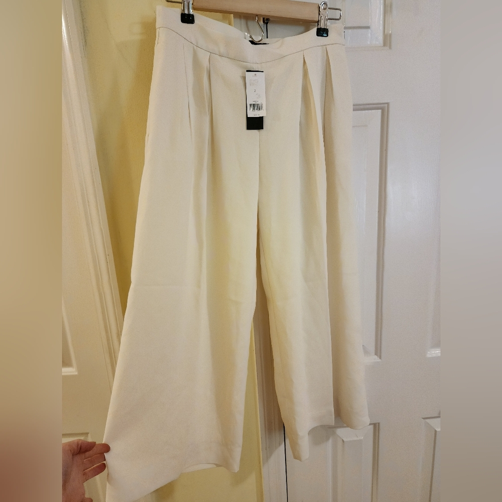 Banana Republic Pleated Cropped Wide Leg Pants NWT